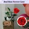 Mothers Day Rose Gifts for Mom,Birthday Gifts for Women,Mothers Day Flowers Gifts for Mom from Daughter Son,Preserved Red Rose Flower Gift for Her,Wife,Grandma,Women,Christmas,Anniversary